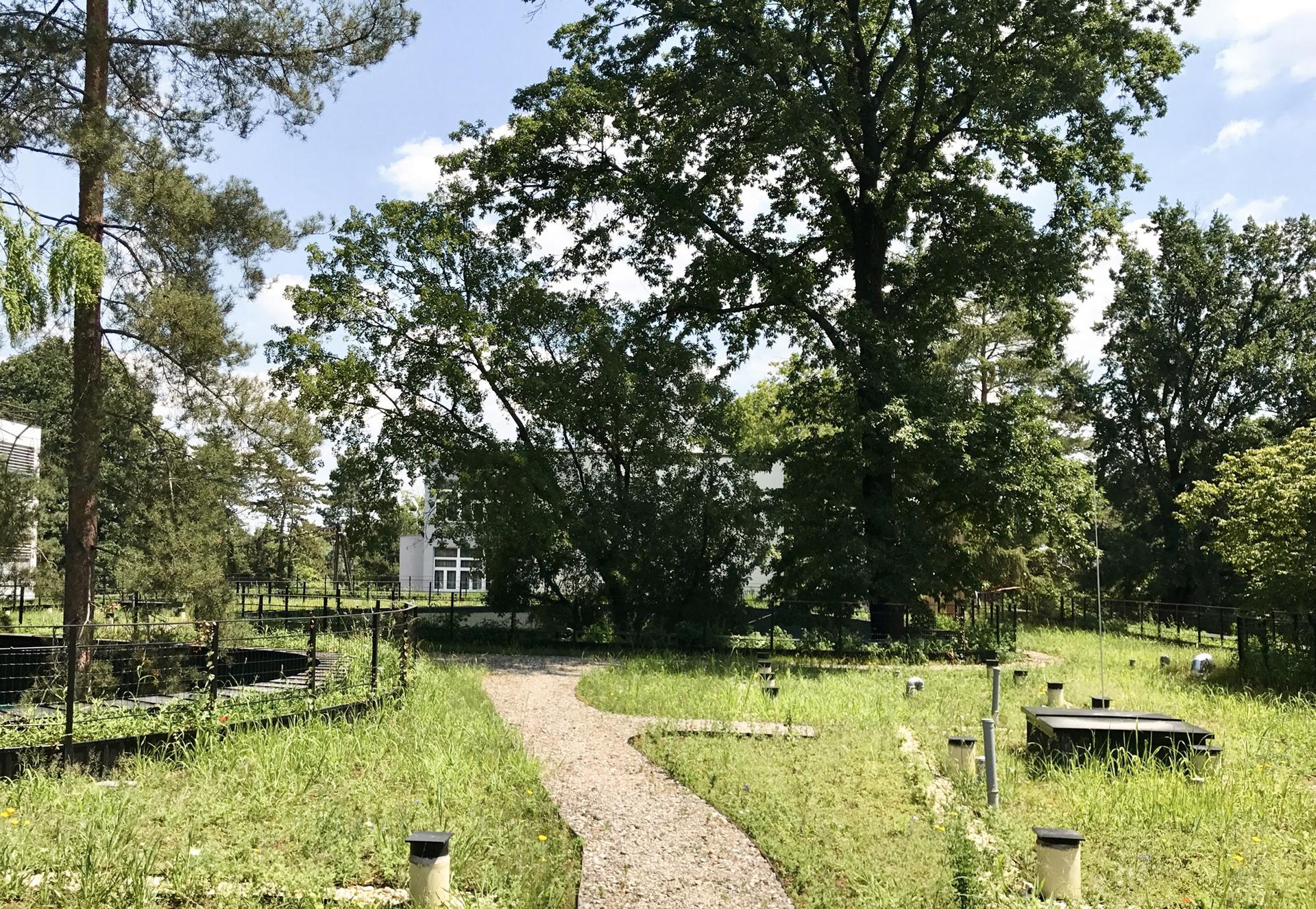 Green Pavilion Restaurant 3LHD